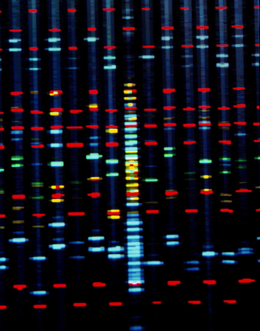 DNA sequence on a computer monitor screen