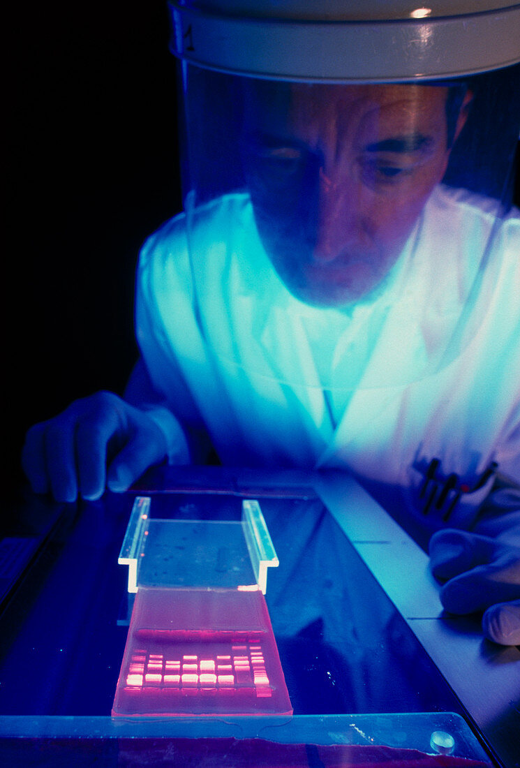 Technician carrying out DNA sequencing
