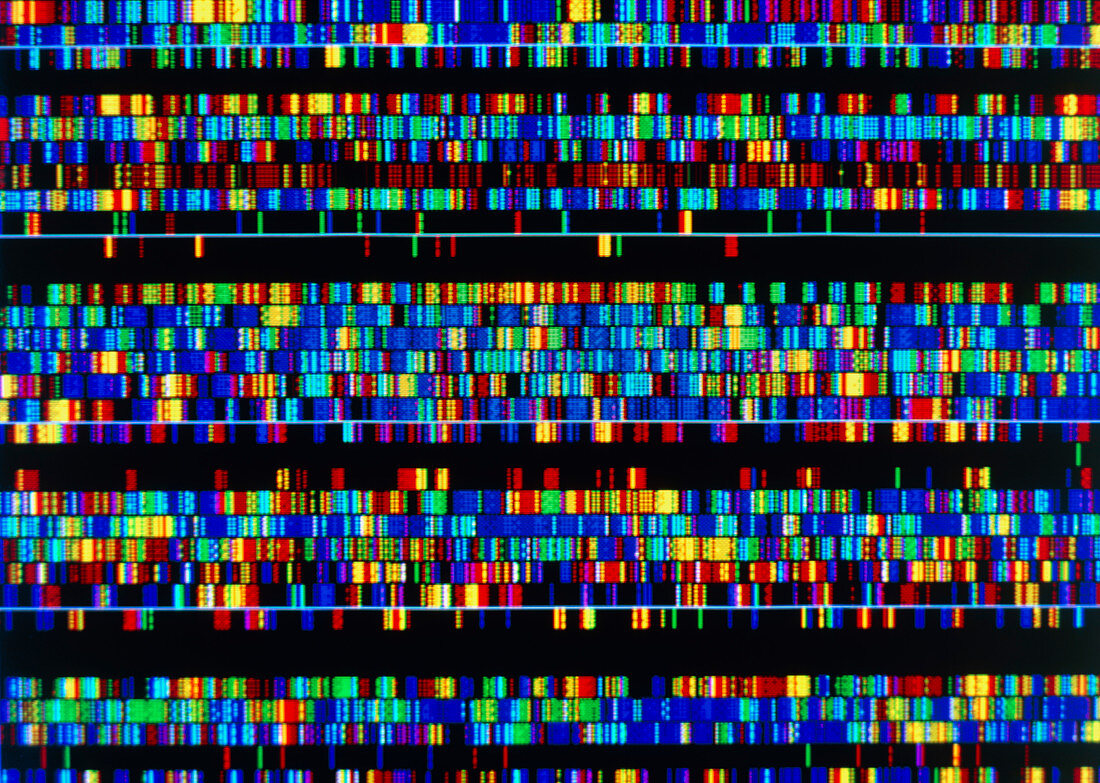 Human DNA sequence