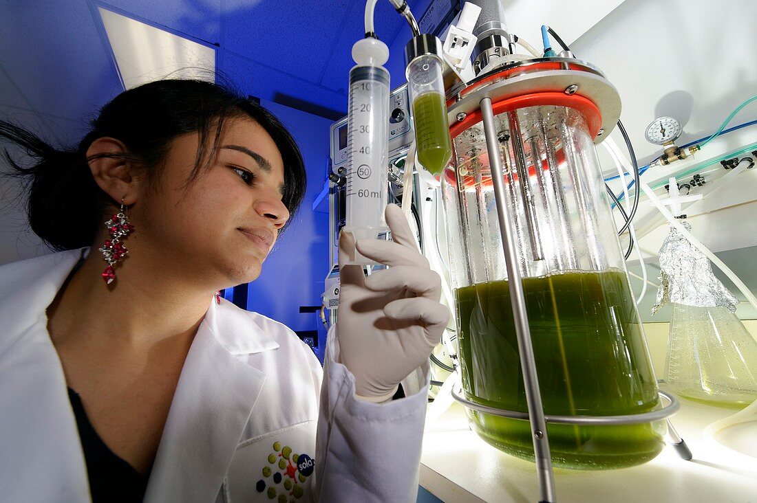 Researcher with algae fermenter