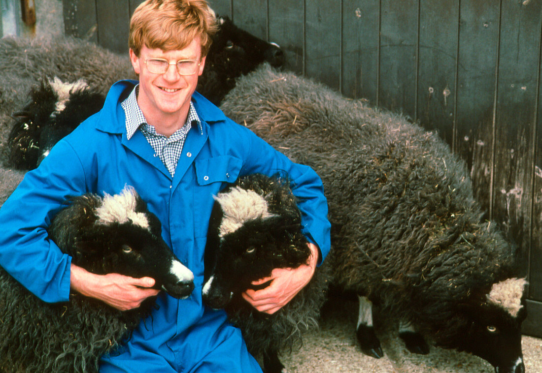 Veterinary scientist with genetically-cloned sheep