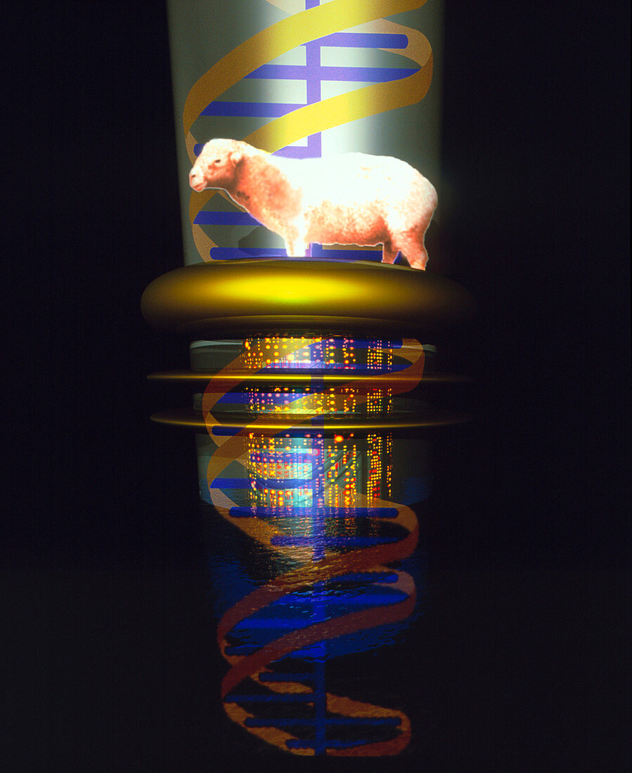 Computer artwork of a cloned sheep in a test tube