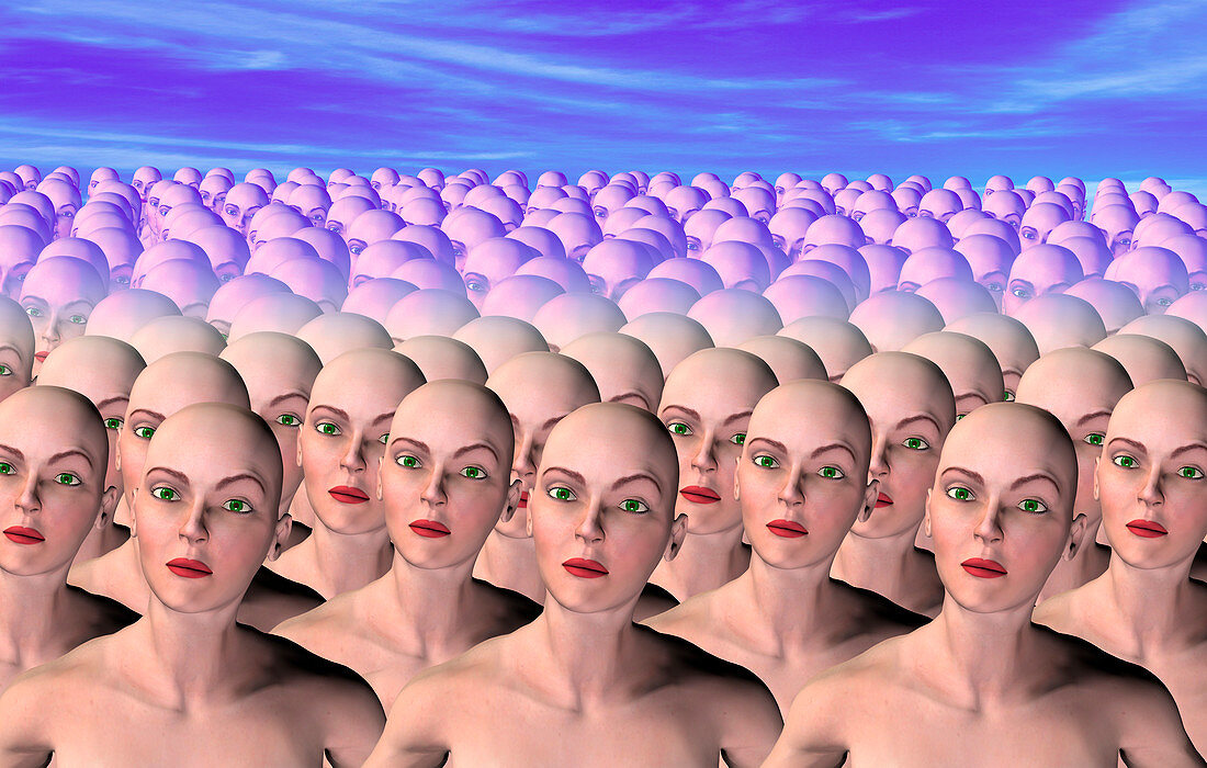 Human cloning
