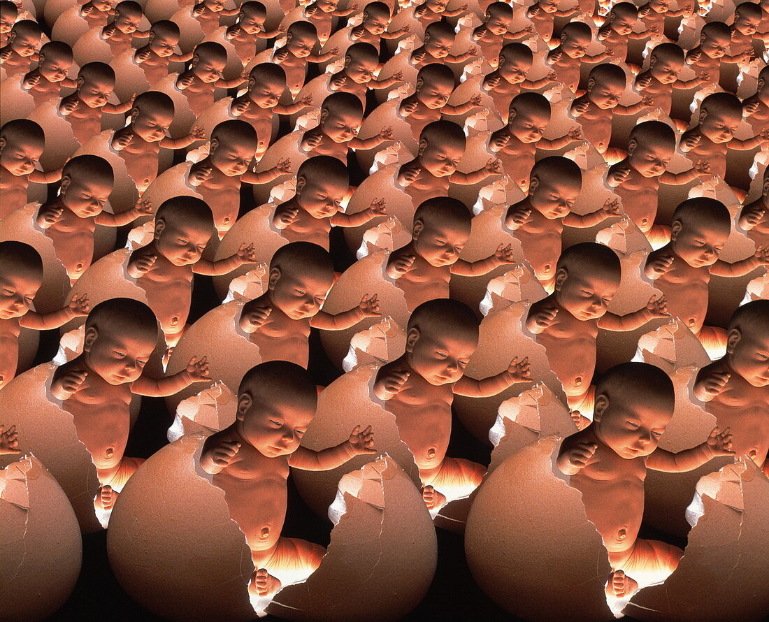 Conceptual computer artwork of human cloning