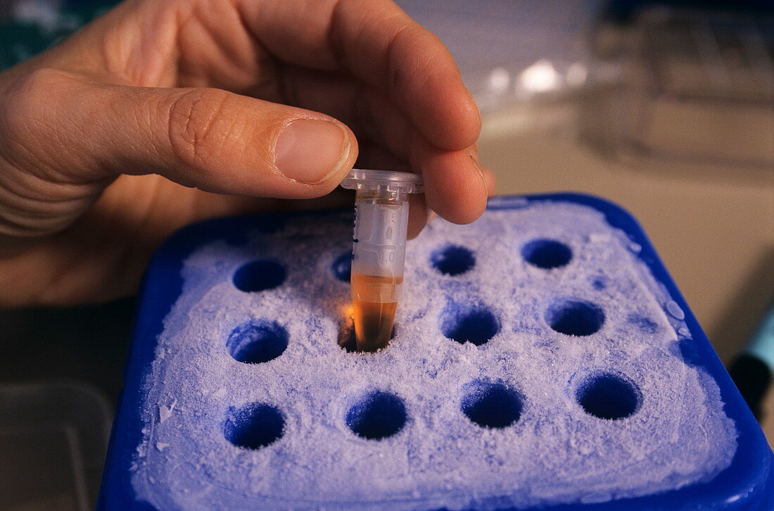 Refrigerated sample
