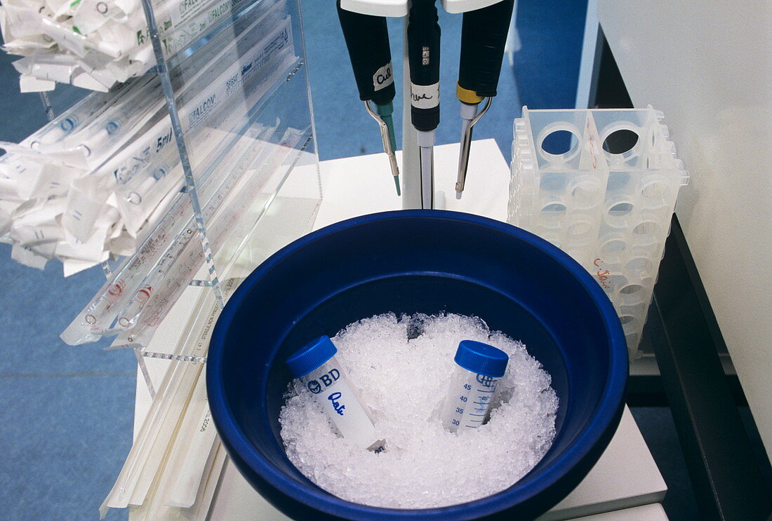 Thawing of cell samples
