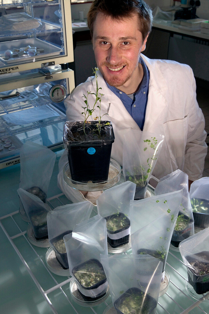 Plant research