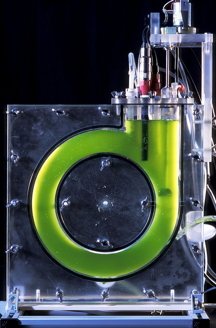 Algal bioreactor research