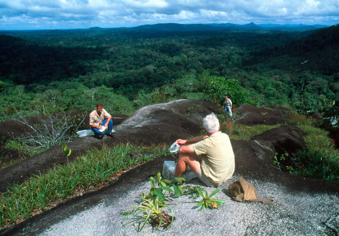 Botanists collecting plant specimens in Guyana