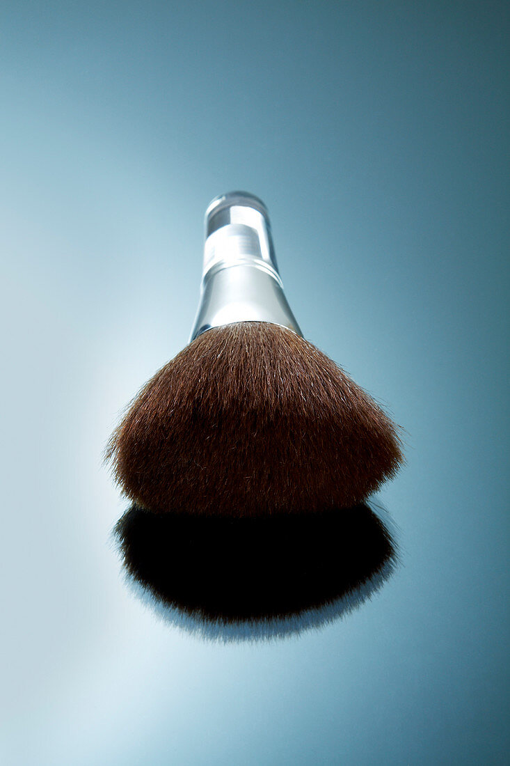 Make-up brush