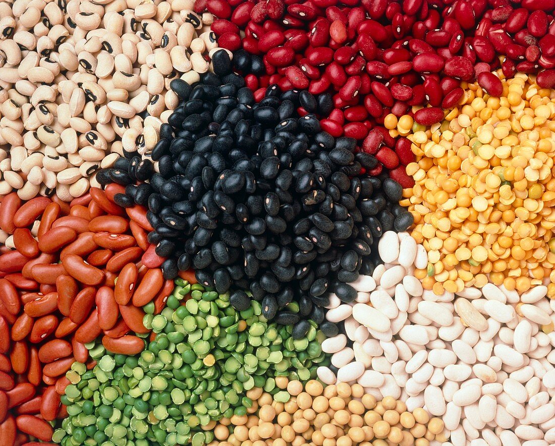Beans and pulses