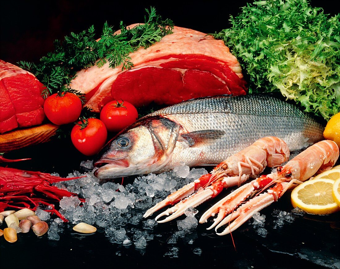 A collection of food rich in protein: fish & meat