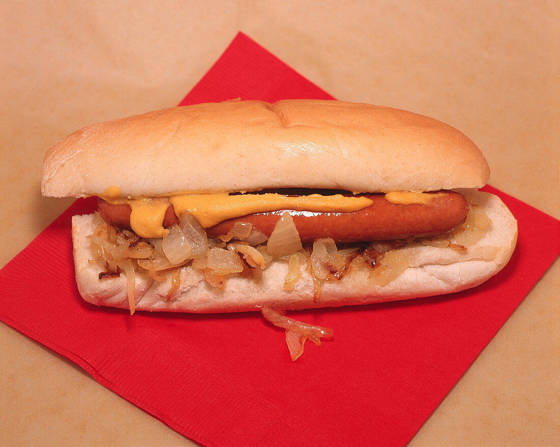 Hot dog with mustard & onions