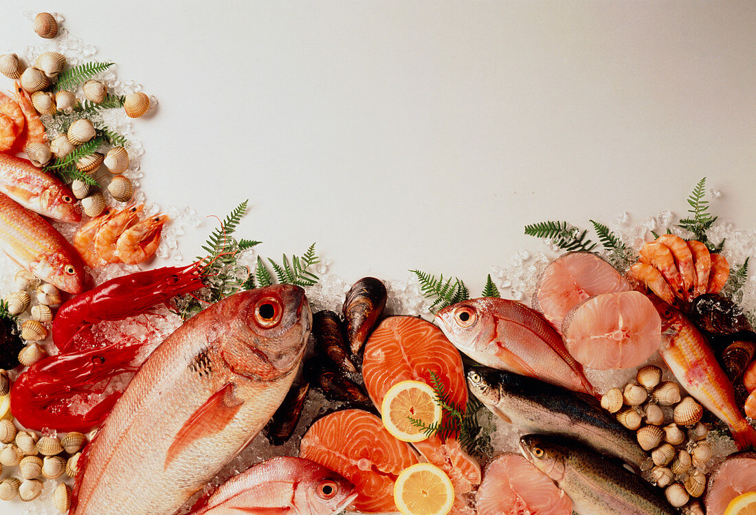 Assortment of edible fresh fish and shellfish