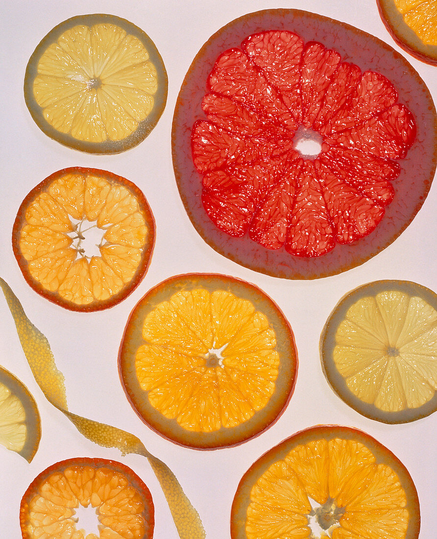 Selection of citrus fruits rich in vitamin C