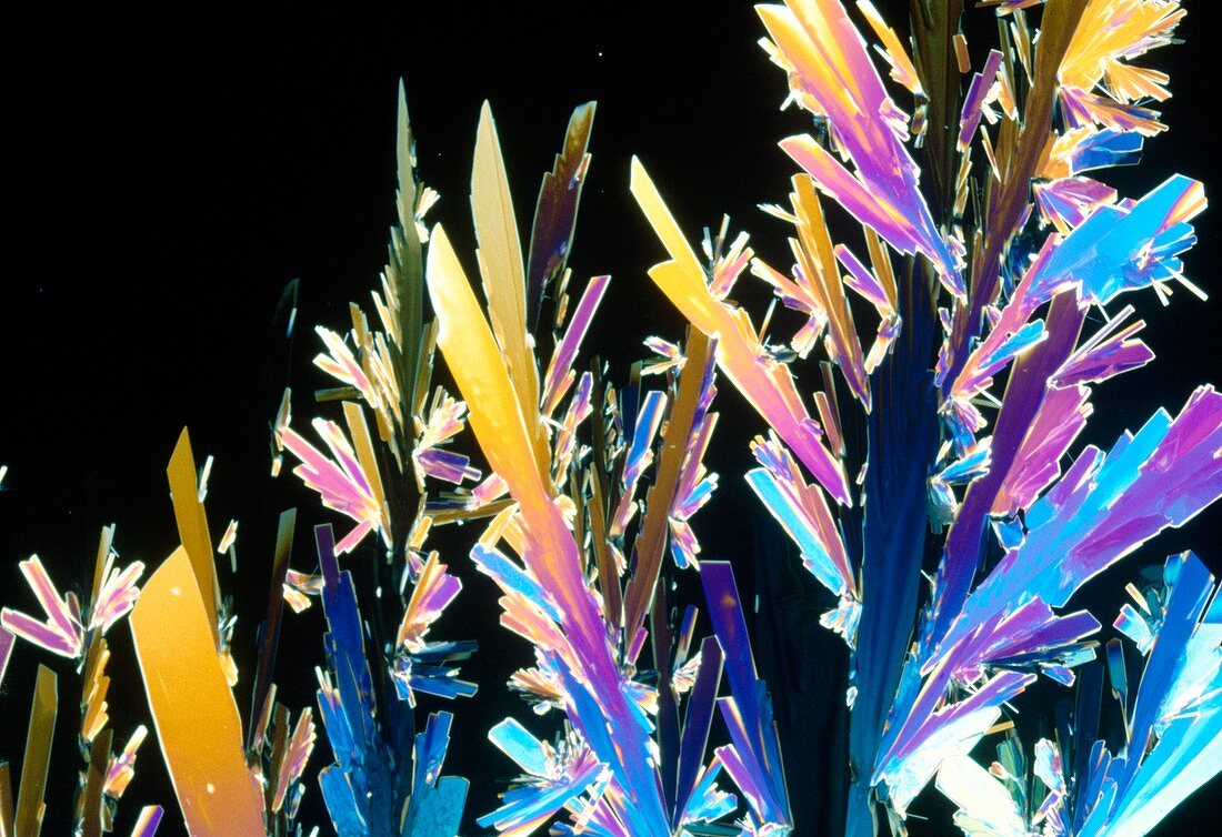Polarised LM of dextrose crystals