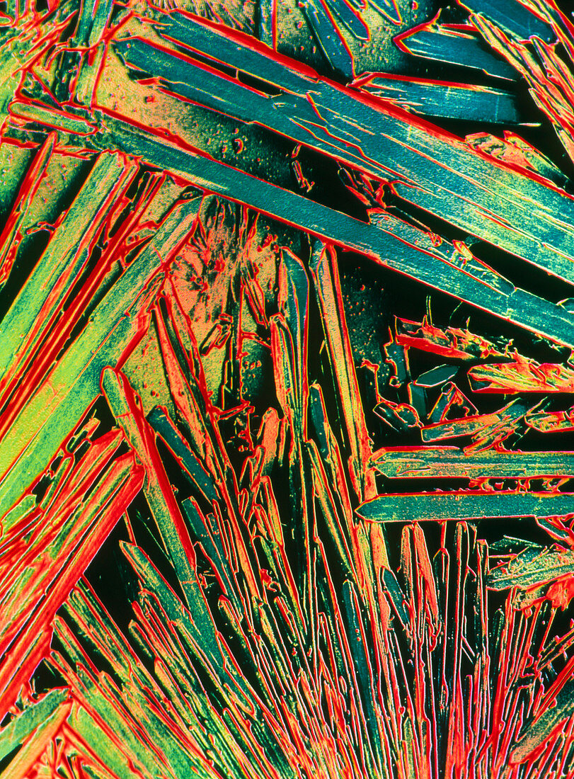 False-colour SEM of crystals of saccharin