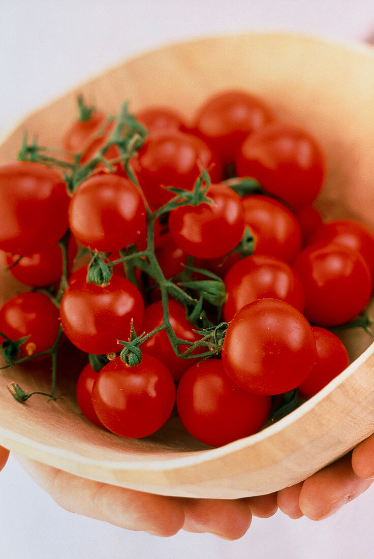 Vine cherry tomatoes