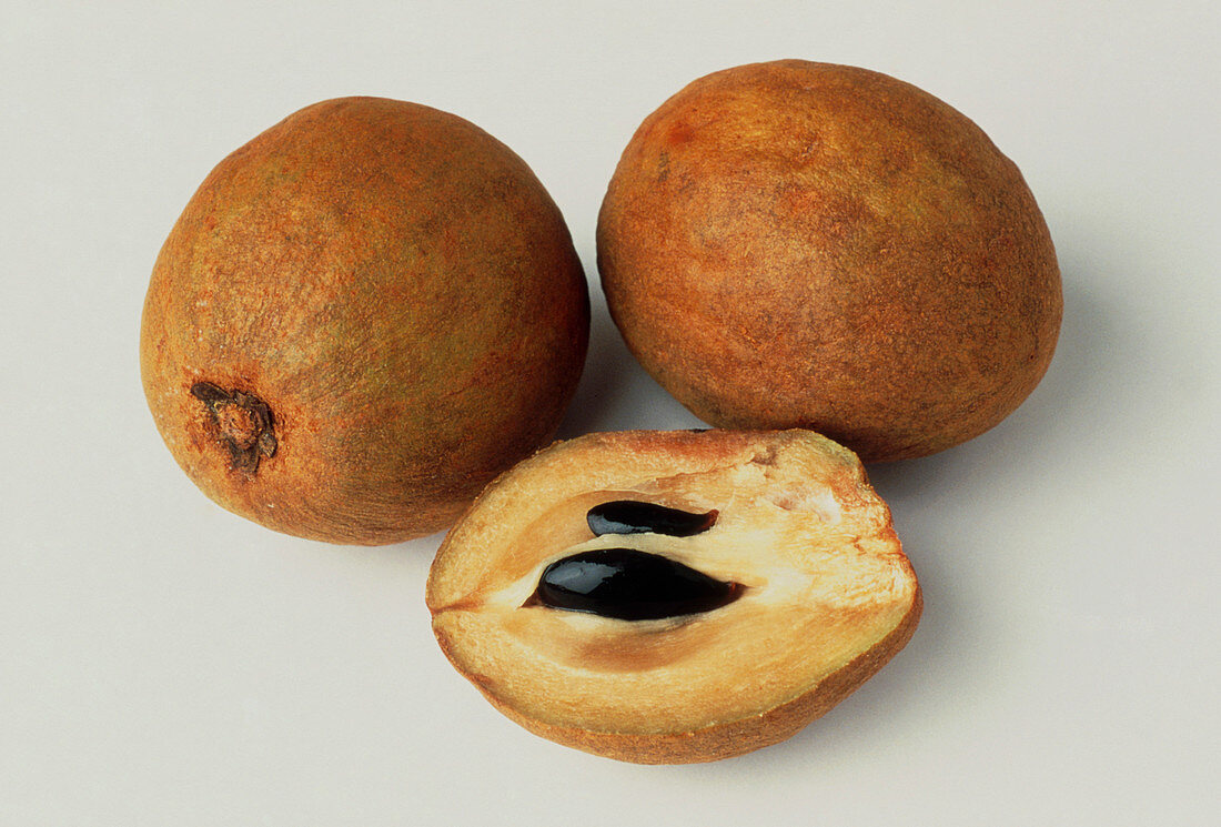 Sapodilla fruits