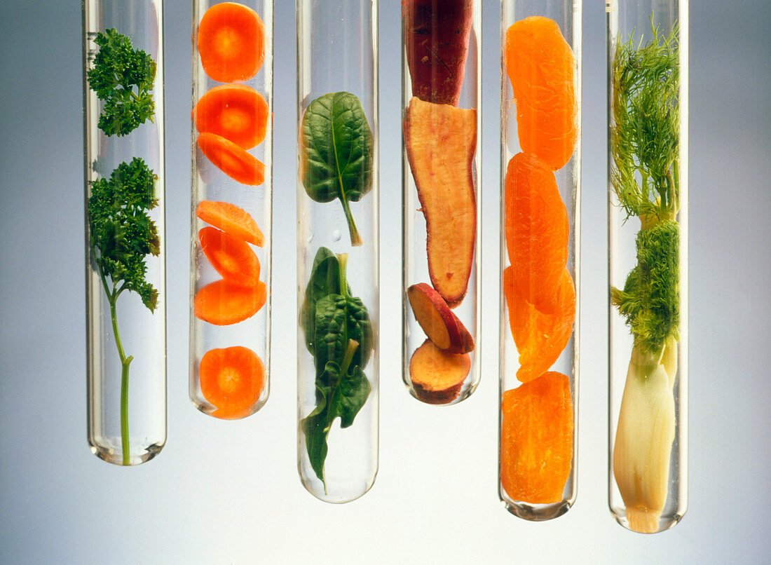 Nutrient-rich foods presented in test tubes
