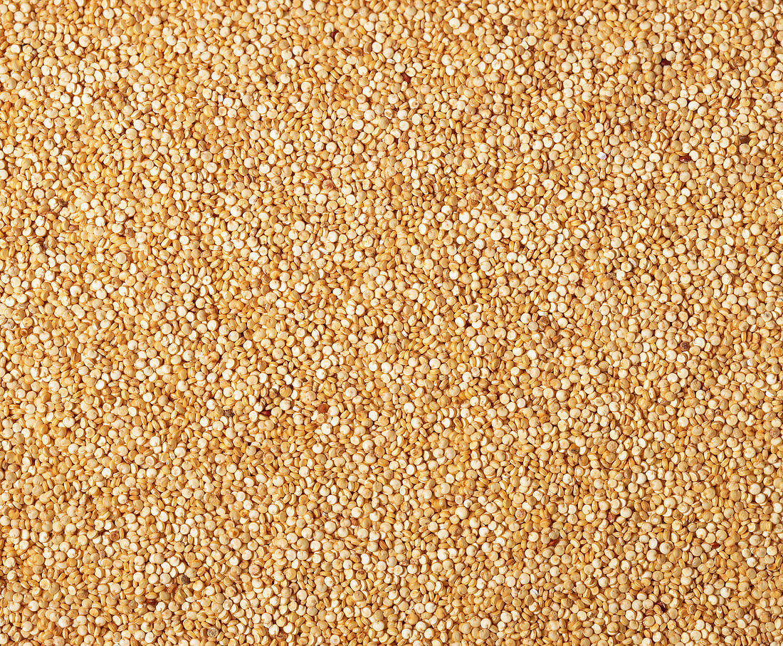 Quinoa grains