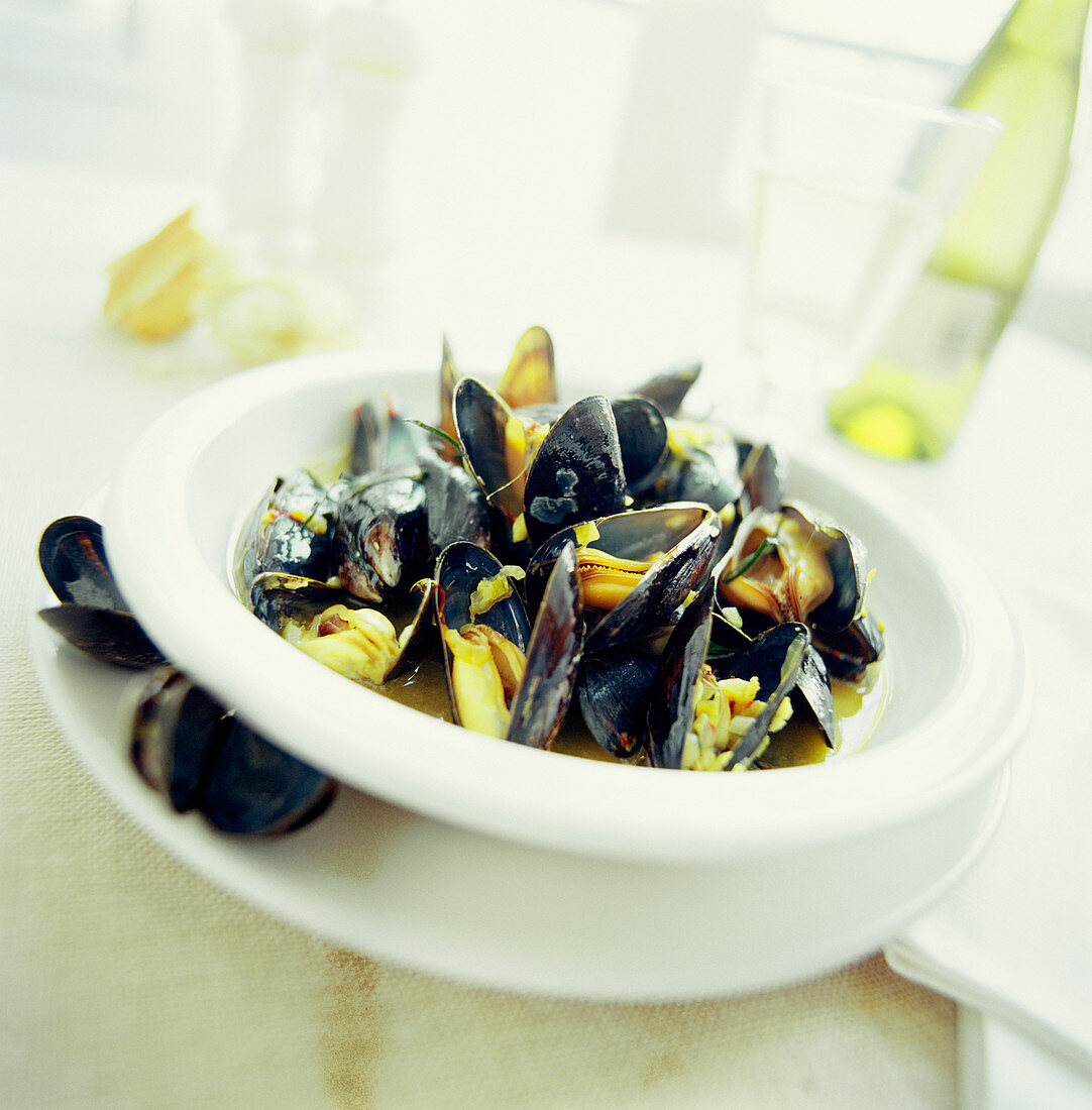 Mussels