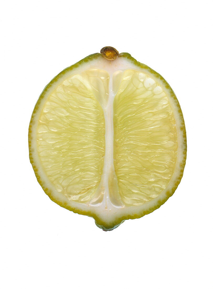 Lime slice