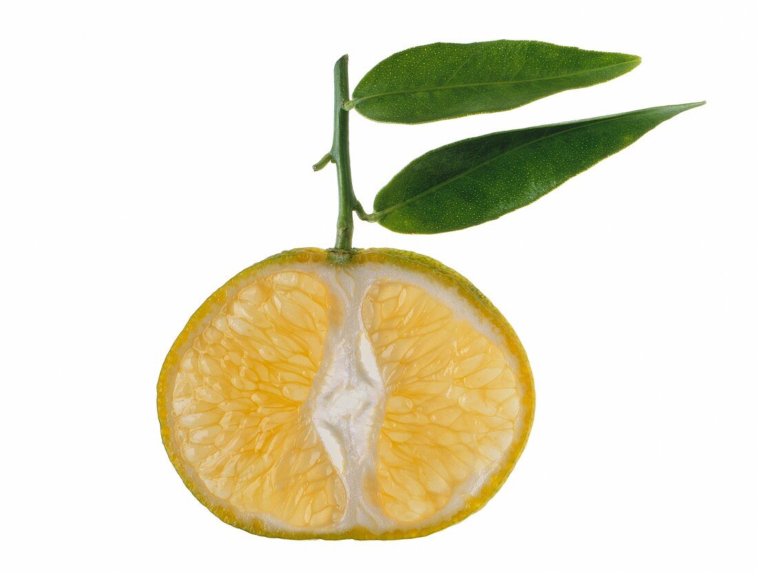 Clementine half