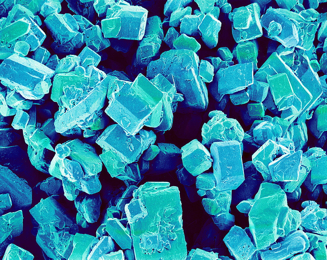 Sugar crystals,SEM