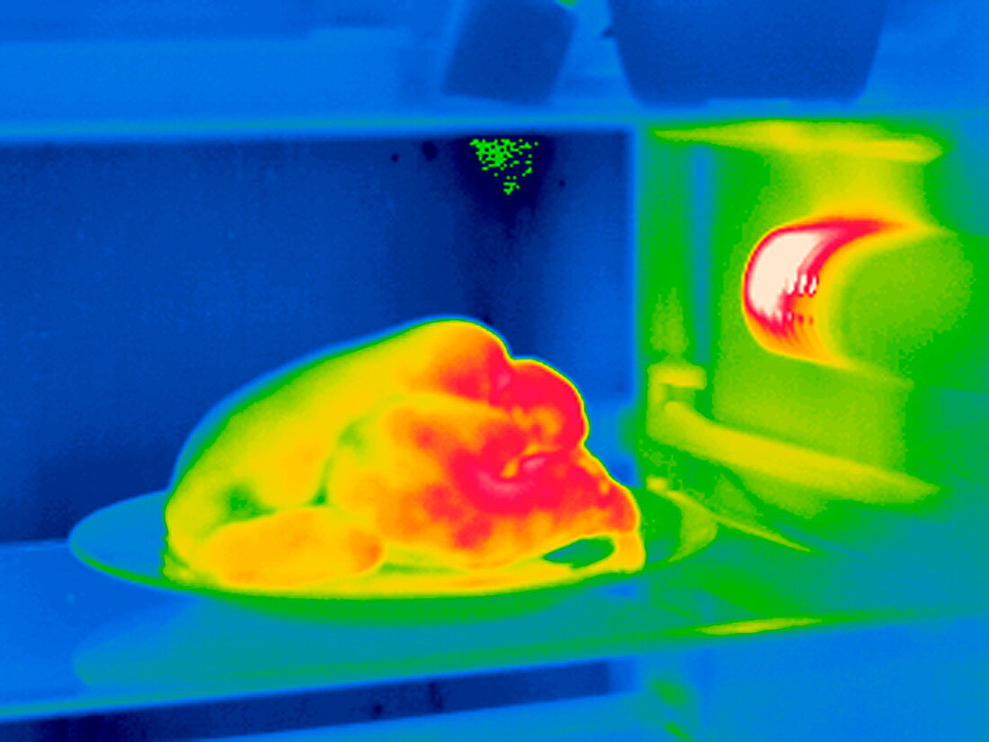 Chicken in a fridge,thermogram