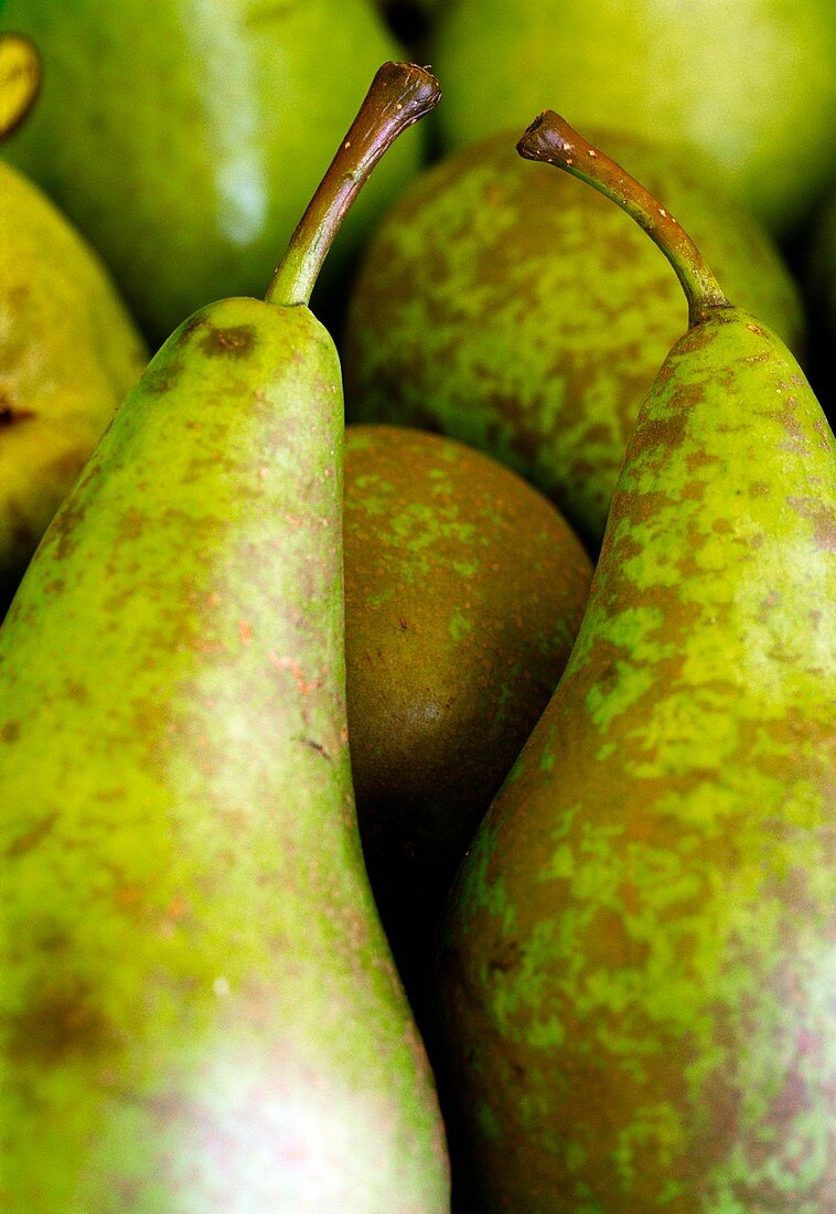 Williams Pears