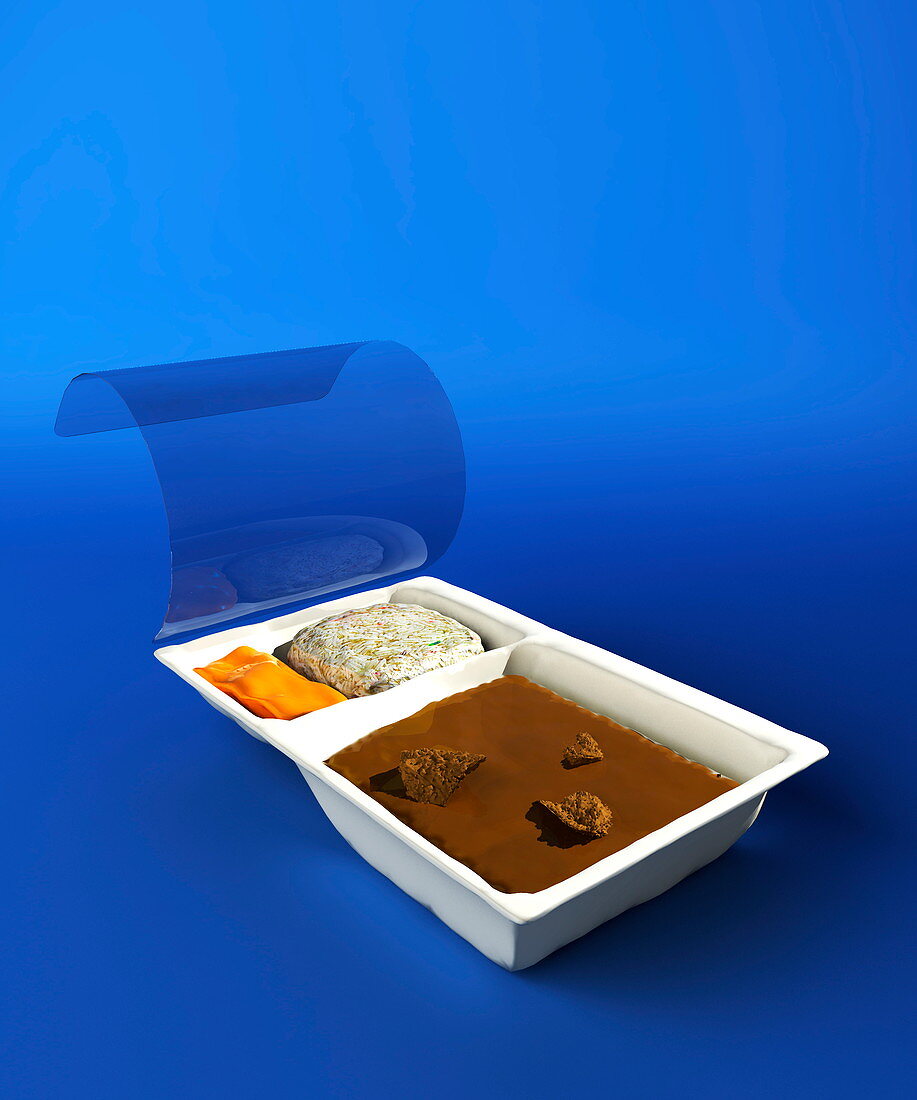 Ready meal,computer artwork