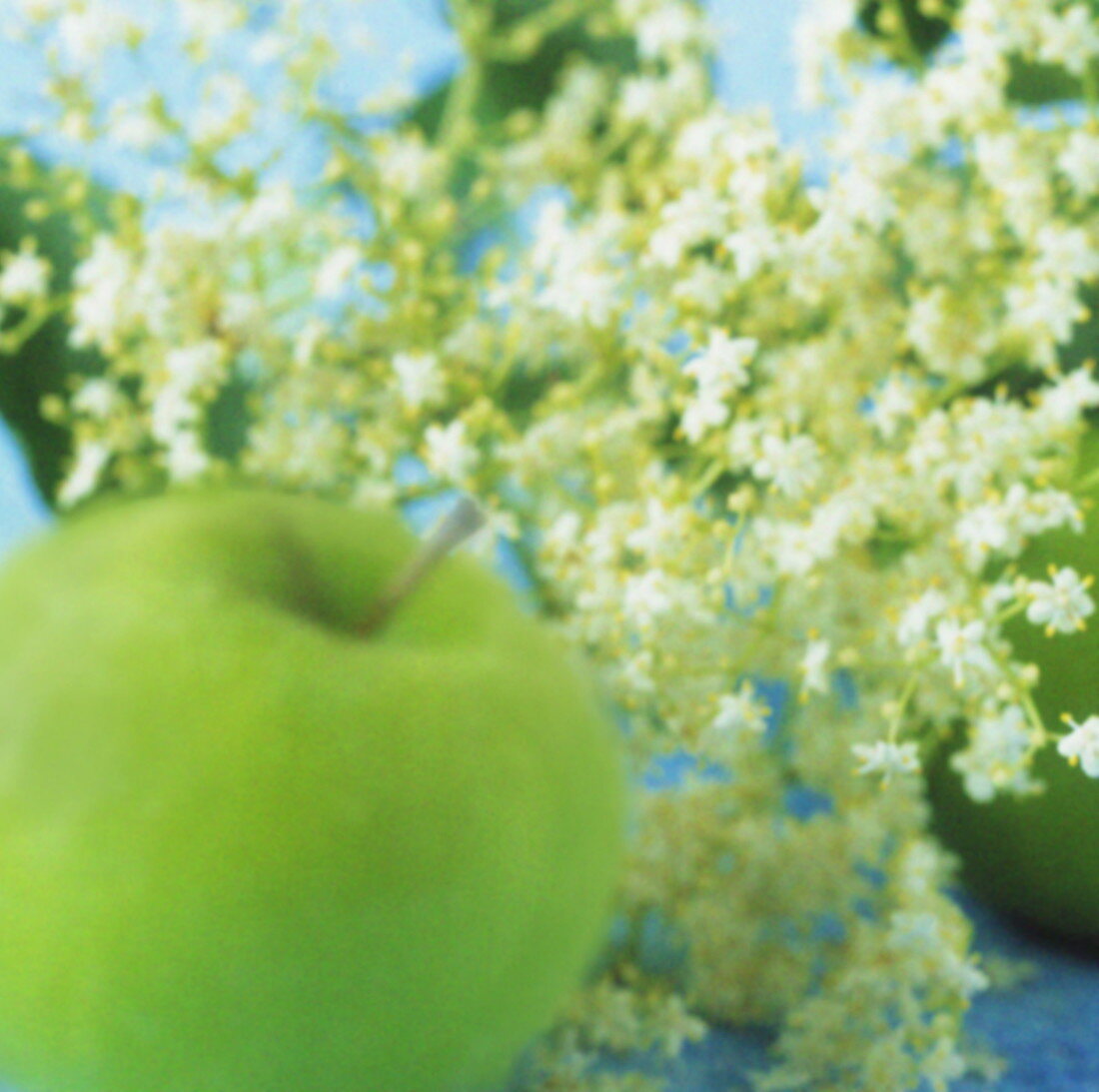 Apple and elderflowers