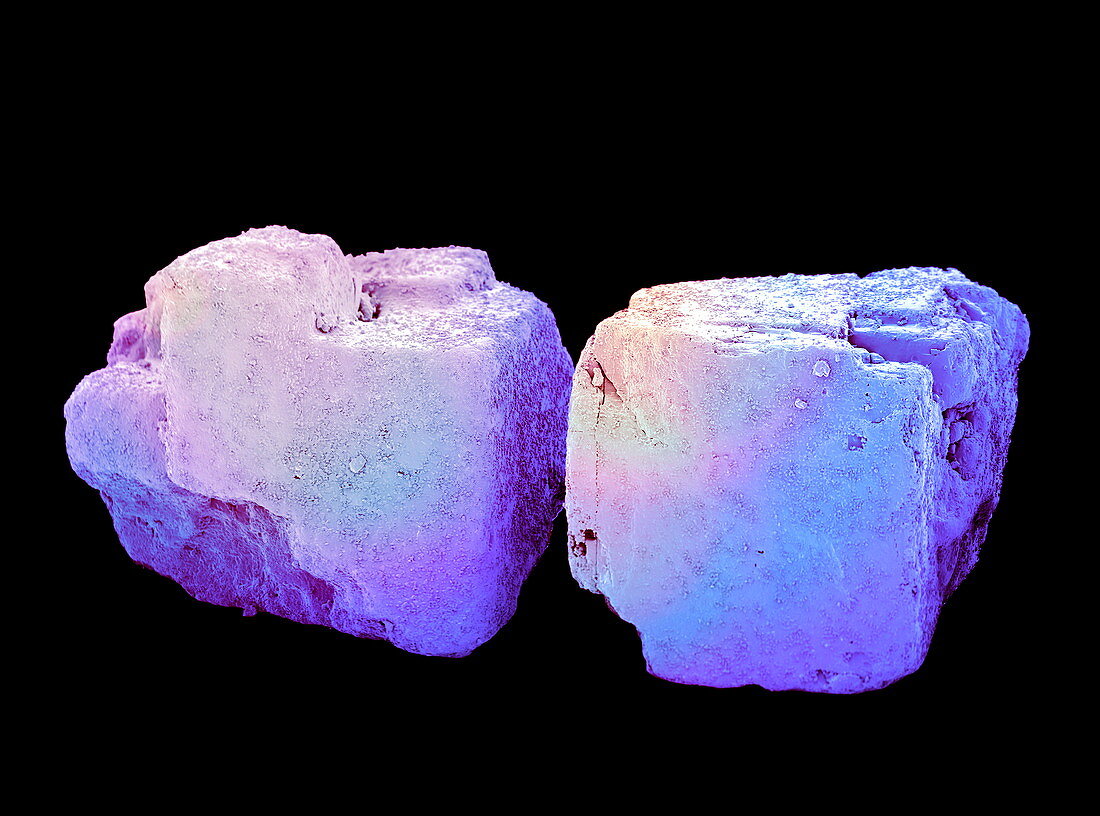 Salt crystals,SEM
