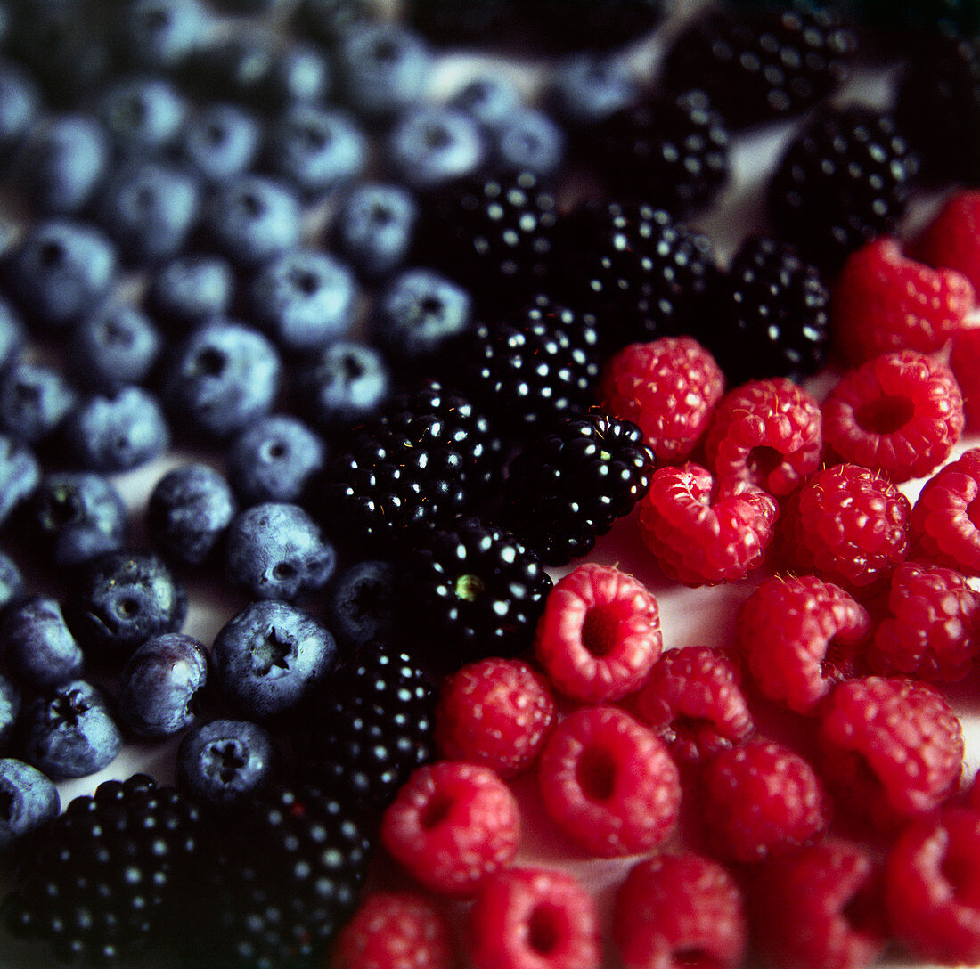 Mixed berries