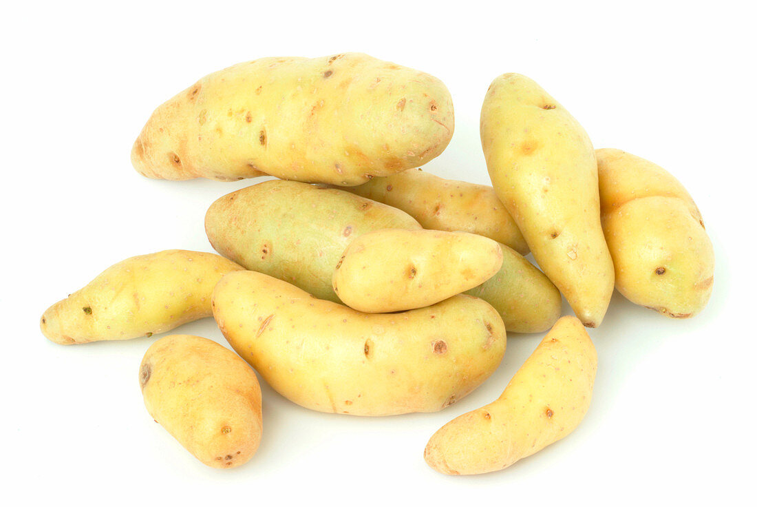 La ratte potatoes