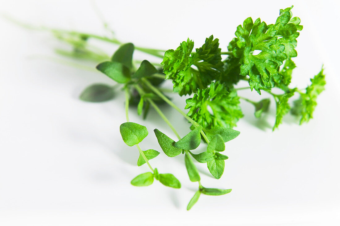 Parsley and thyme