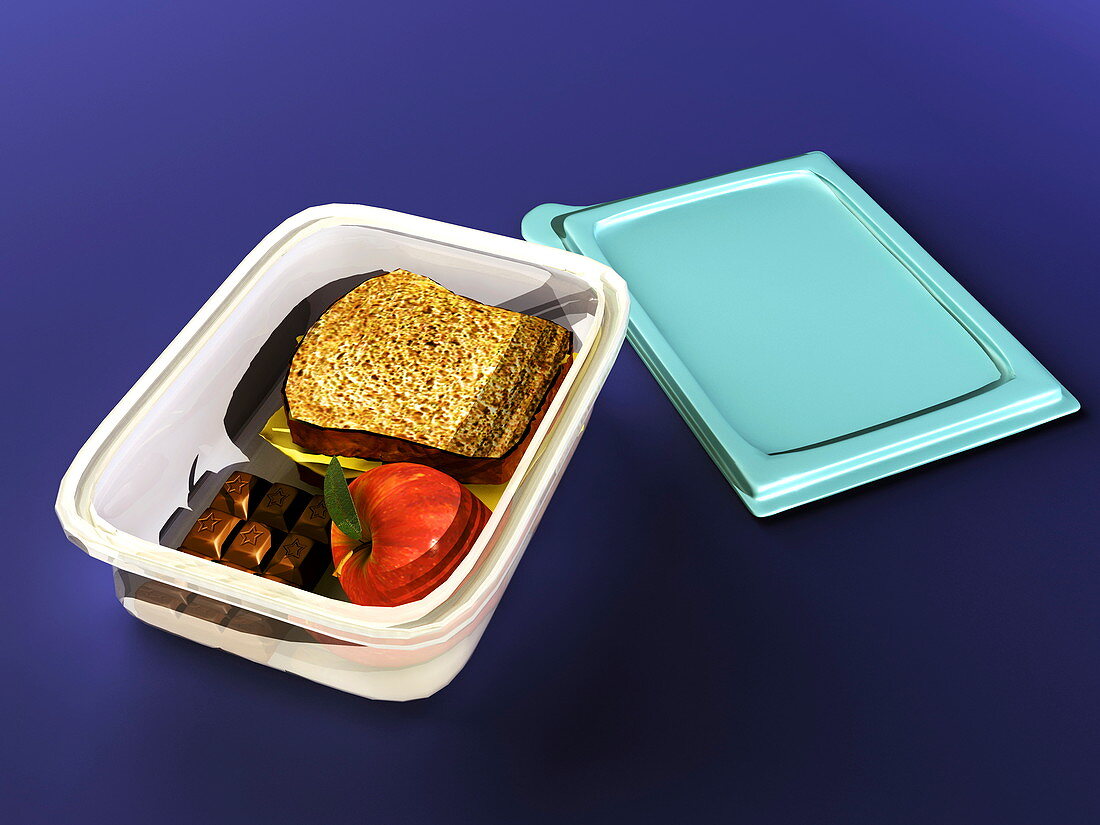 Lunchbox,computer artwork