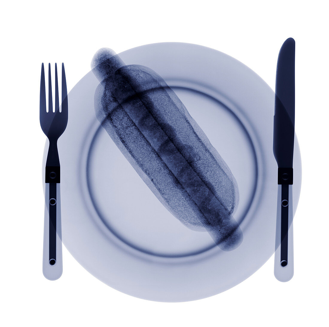 Hot dog on a plate,X-ray