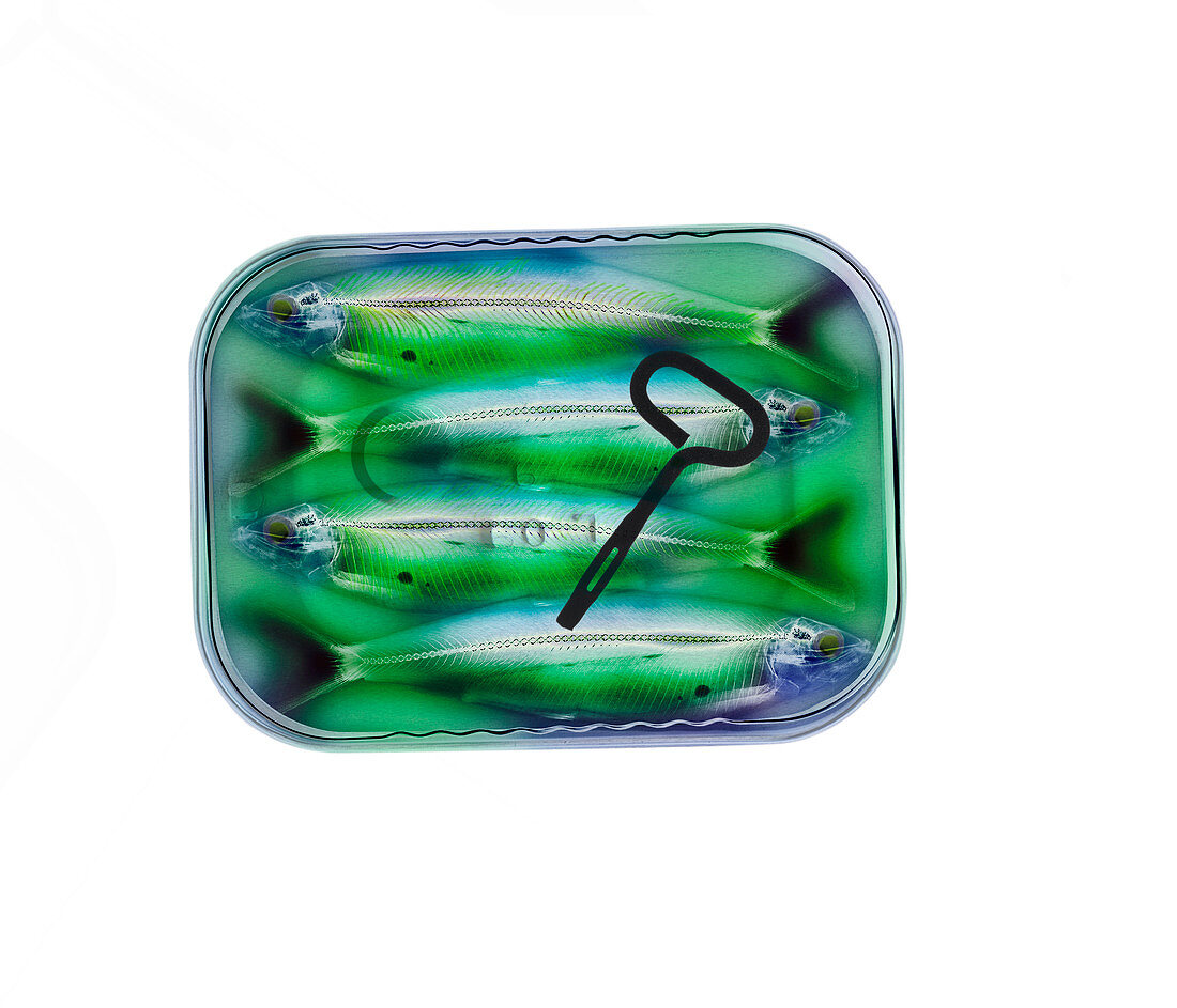 Sardine tin,X-ray