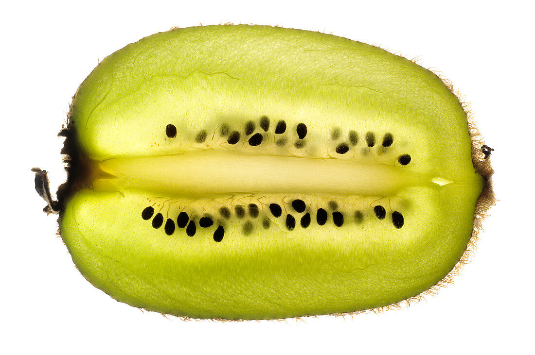 Kiwi fruit