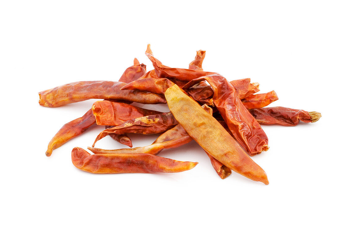 Dried red chilli peppers