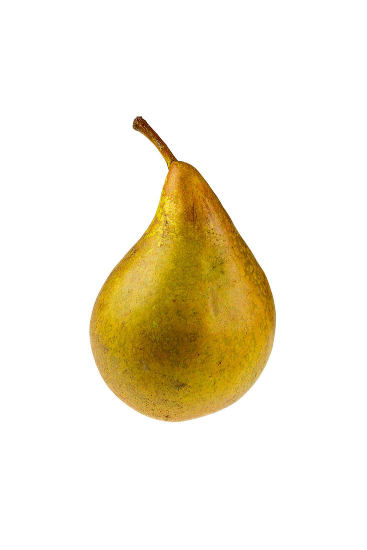 Pear