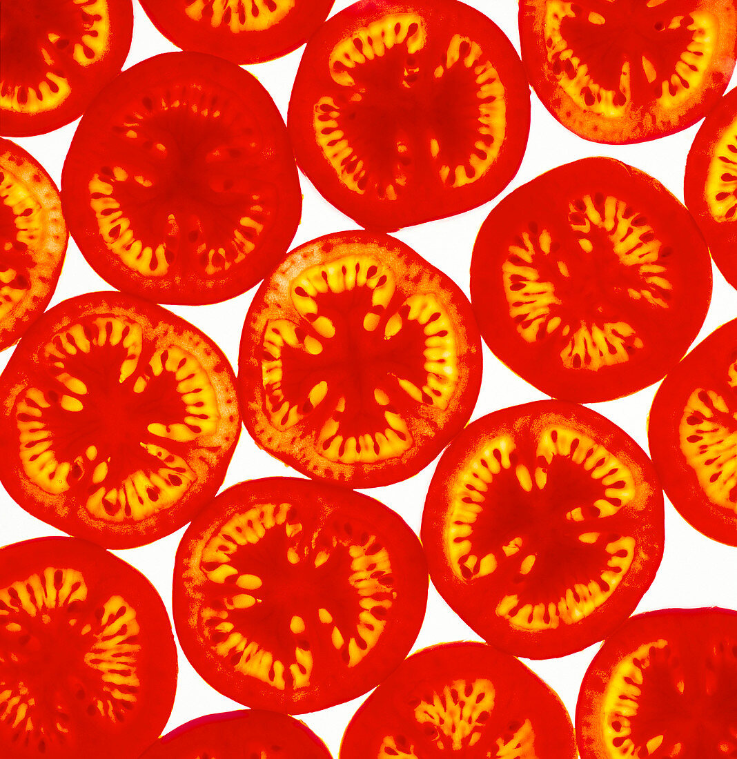 Tomato slices