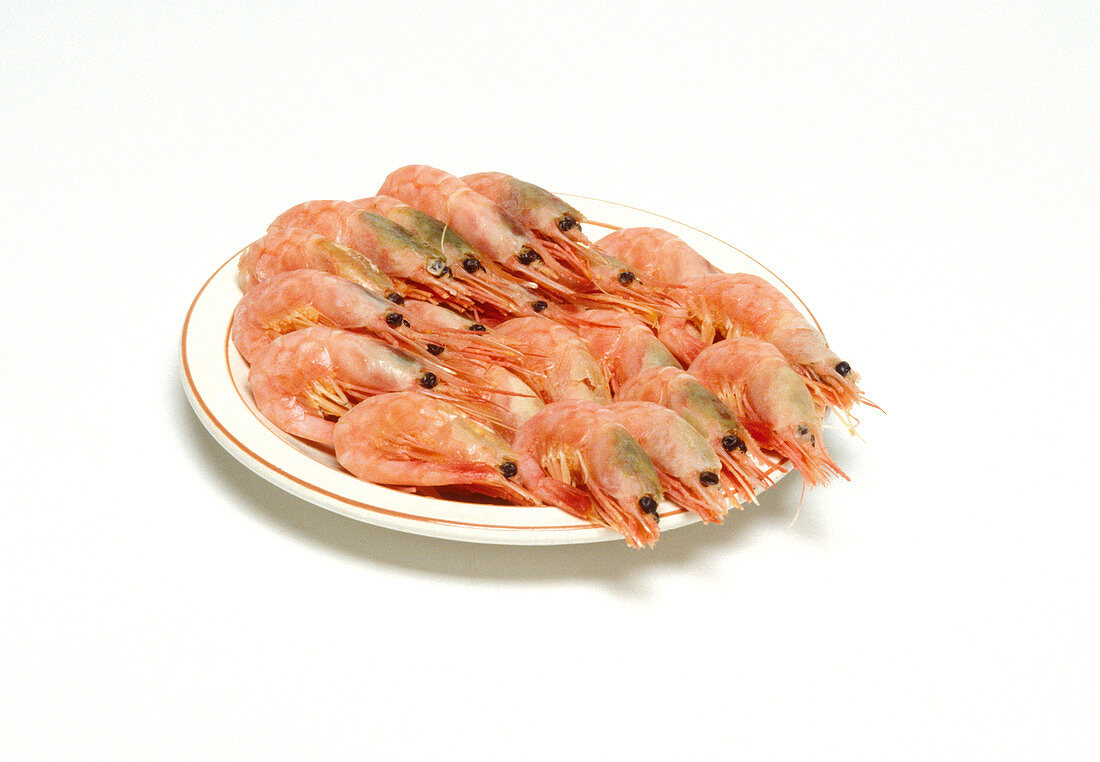 Plate of prawns