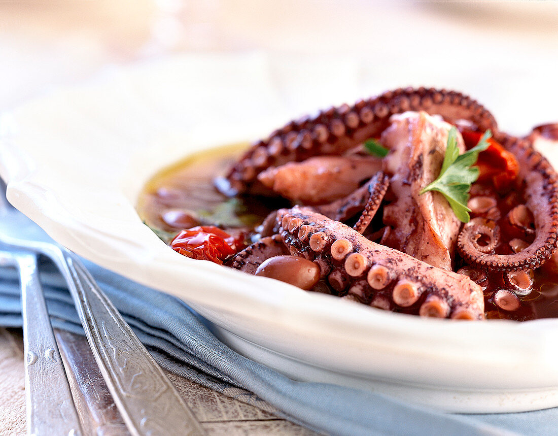 Octopus and bean stew