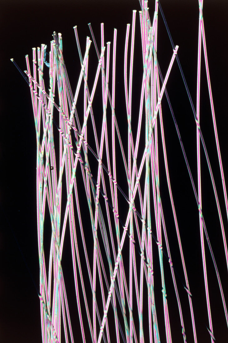 Polarised light micrograph of nylon fibres