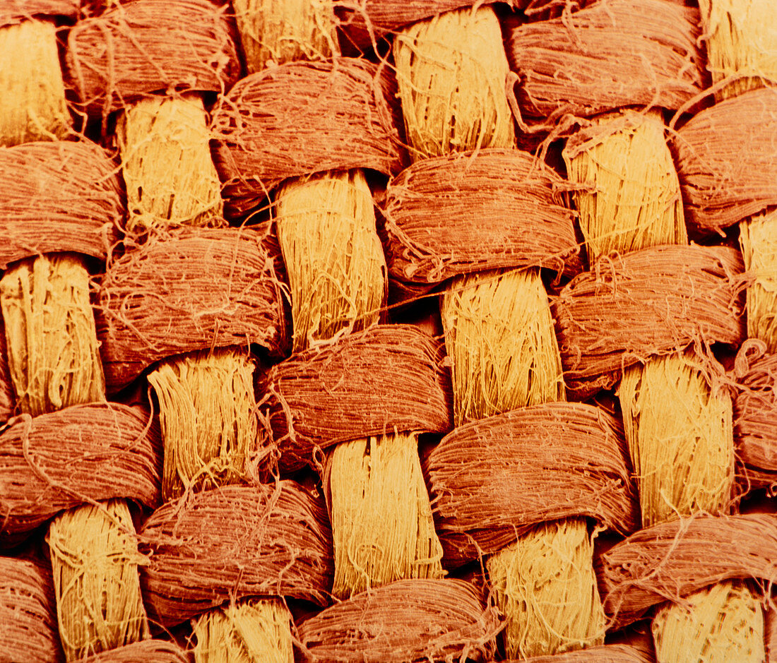 Coloured SEM of the weave of linen