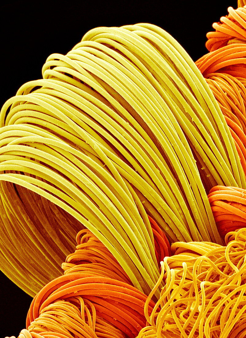 Synthetic fibres,SEM