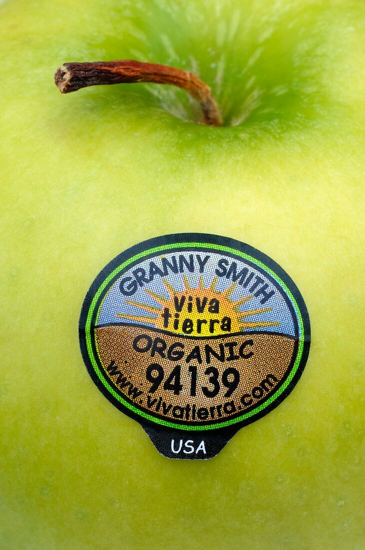 Fruit label